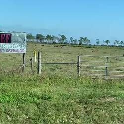 Wenn keine Zitrusfrüchte Plantagen dann sind es Steak Plantagen 😂😉