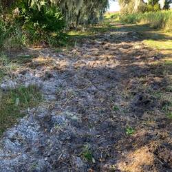 Wir fragten uns ob das Wildschweine waren. Immer mal wieder gab es solche zerwühlten Flächen