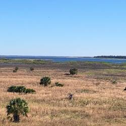 Aussicht zum dritt größten See in Florida von einem Turm aus