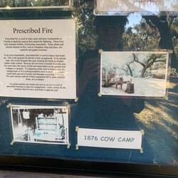 Seit 1867 gibt es das Cow Camp es war leider nicht zu besichtigen, Winterzeit 🤪