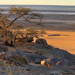 Our incredible night spot