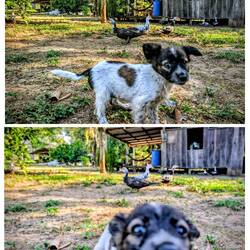 Mei neuer Spezi, da Bazi