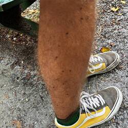 Direct gestraft voor m'n korte broek, m'n been vol sandflies