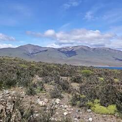 Blick auf den Lago Sarmiento