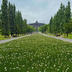 The Borobodur temple sits on top of a hill