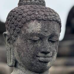 An insect alights on Buddhas head.