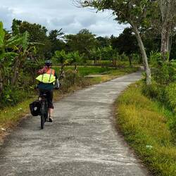 Riding through a green landscape