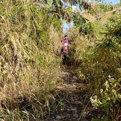 Single-Trail