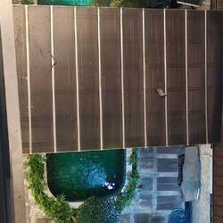 Wenn ich Hunger habe, kann ich vom Balkon runterspringen und mir einen Karpfen aussuchen 🤘