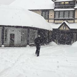 Coming back from breakfast in the snow