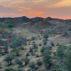 Somewhere in the bushes we have a date with FlyingNick 🪽