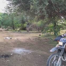 Goodbyes are nasty. Let's just fistbump, see ya, brother