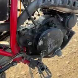 Best anti-theft: Kismet lost a screw and the kicker became lose