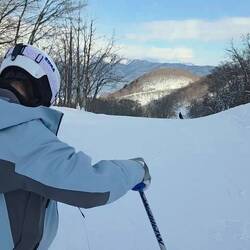 Craig and Kate are off