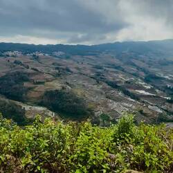 Wohin das Auge blickt, alles Reisterrassen