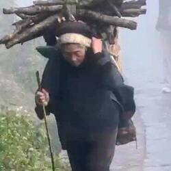 Geprägt von der harten Arbeit