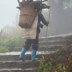 Die zum Dorf gehörenden Reisterrassen umfassen mehr als 3700 Stufen.