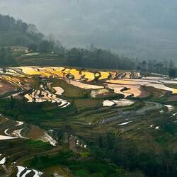 Warmer Farbglanz im Licht des Sonnenuntergangs.