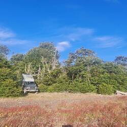 Übernachtungsplatz - windgeschützt im Wald versteckt