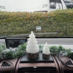 Cockpit geschmückt 🎄🎄