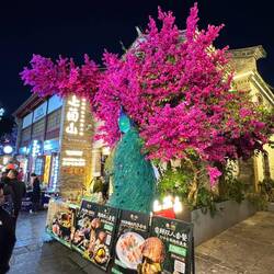 So schön kann Erdöl blühen 🤣