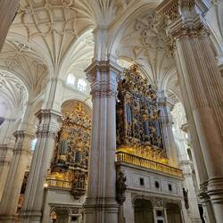 View of both huge pipe organs