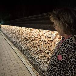 ... ordentlich Holz vor der Hütten