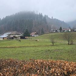 Aussicht zum Reiterhof 🐎 🐎