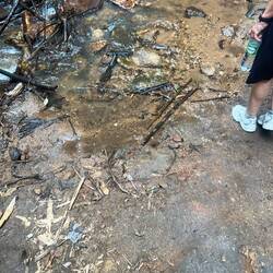 Über einen Bach queren