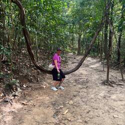 Kathi auf einem Baum, der die Form einer Schaukel hatte