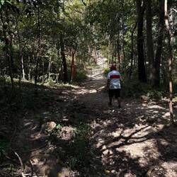 Das war der Trampelpfad hinauf