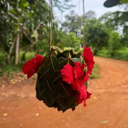 Ein Geschenk, aus Blättern geflochten