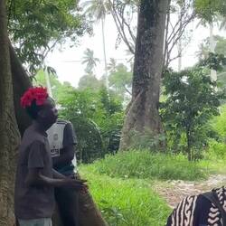 Er trommelt an dem Baum. Der untere Teil ist hohl