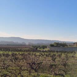 Wandern 🚶‍♂️🐕‍🦺🚶‍♀️