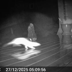 Auch Ermy kam trotz Sturm vorbei