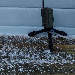 Die Wildkamera steht gut im toten Winkel