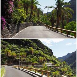 Die letzten 4km über die Straße