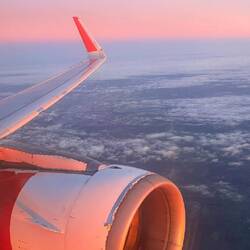 🧐🧐🙄🙄😵😵 🙈🙉🙊