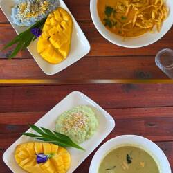 Khao Soi, Green Curry und Mango Sticky Rice
