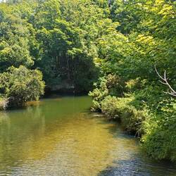 La petite rivière à côté de notre camping