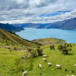 De kleur van Lake Hāwea was waanzinnig