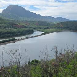 Am Alekoko Fischteich