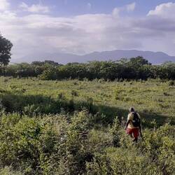 Zurück durch ein Naturschutzgebiet voller Bananenstauden