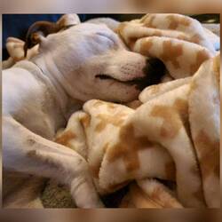 Mein Knopf war danach erledigt