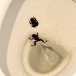 Wohnung mit Wildwasserbahn! 😂