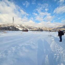 Rice fields under snow