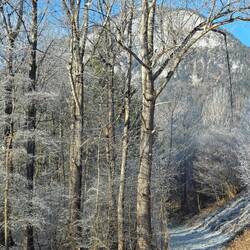 Auf dem Weg nach Österreich