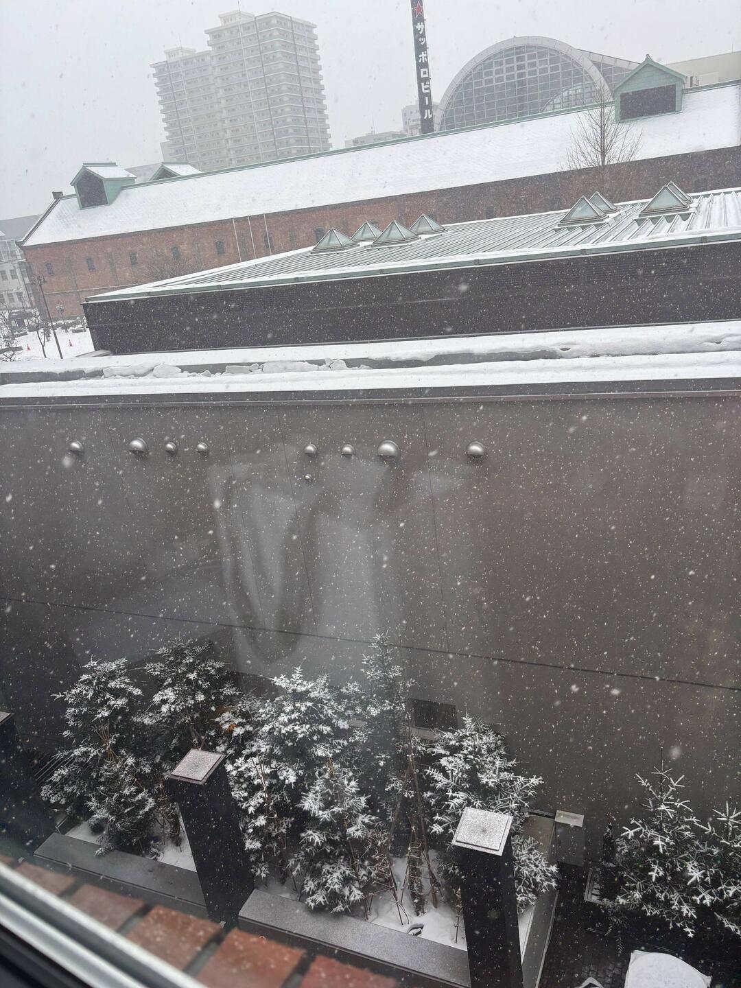 View from our window