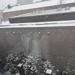 View from our window
