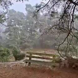 "Grabstätte" Hermann Löns